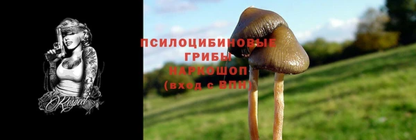 твердый Волоколамск