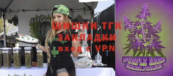 стафф Володарск