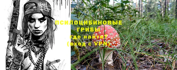 твердый Волоколамск